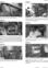 New Holland W230C Wheel Loaders (Emerging market) Service Manual - 1