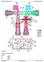 TM12542 - John Deere 180GLC (PIN: 1FF180GX__D020001) T3/S3A Excavator Diagnostic, Operation and Test manual - 2