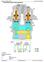 TM12879 - John Deere 60G (SN.J285001-) Compact Excavator Diagnostic, Operation & Test Service Manual - 2