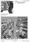 TM13130X19 - John Deere 643L (SN.C666898-, D679126-) Wheeled Feller Buncher Service Repair Technical manual - 2