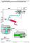 TM159219 - John Deere 450, 455, 750, 1520, 1530, 1535, 1560, 1590, 9400 Grain Drills Technical Manual - 2