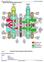 TM1559 - John Deere 992ELC Excavator Diagnostic, Operation and Test Service Manual - 3