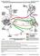 TM1844 - John Deere 643H, 843H Wheeled Feller Buncher Diagnostic, Operation and Test Service Manual - 3